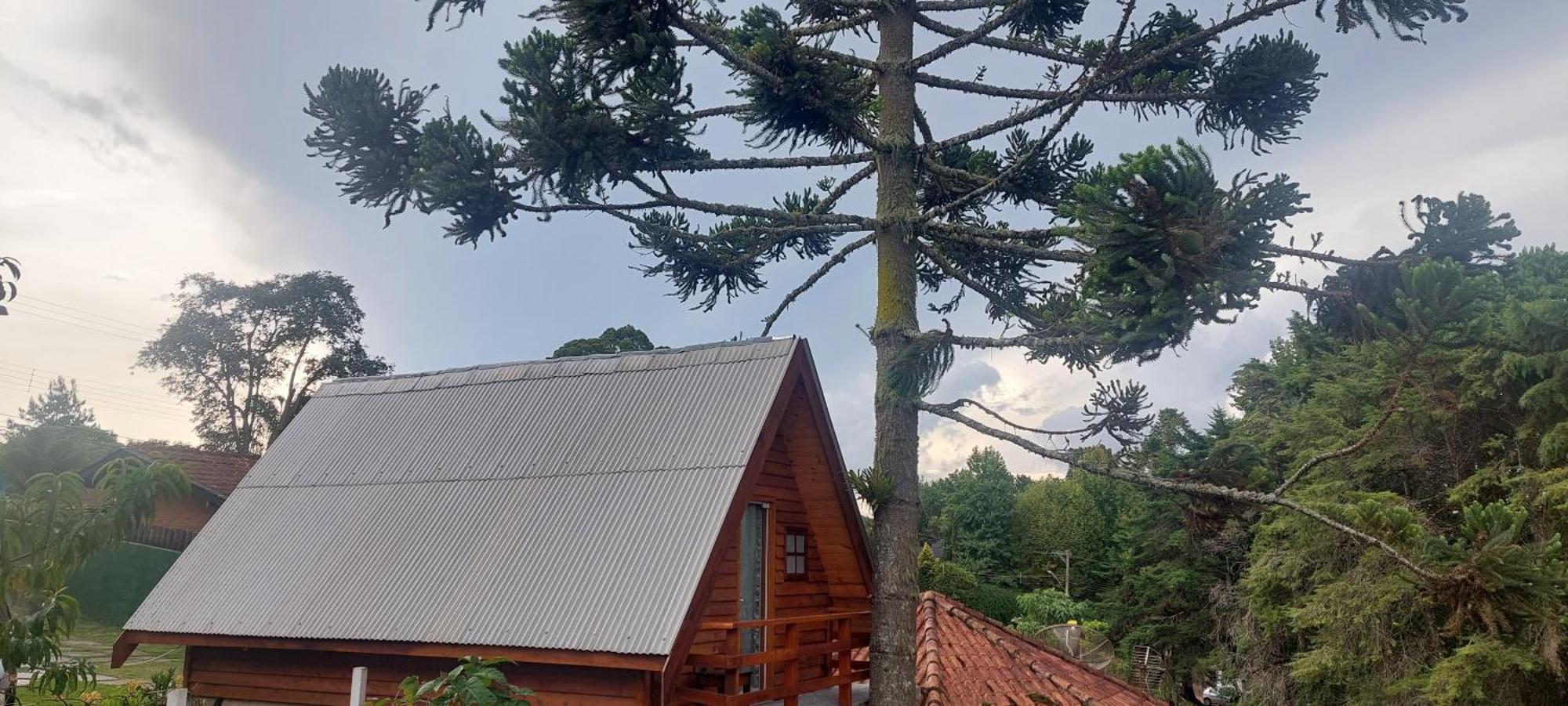 Chale Com Hidromassagem Da Vick * Campos do Jordao